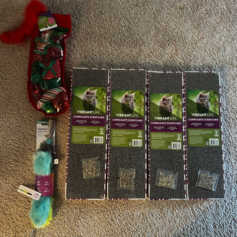 Cat Toy & Scratch Pad Bundle